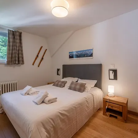 3p Chamonix, Proche Pistes, Animaux Bienvenus, Parking, Wifi - Fr-1-343-257 * Chamonix