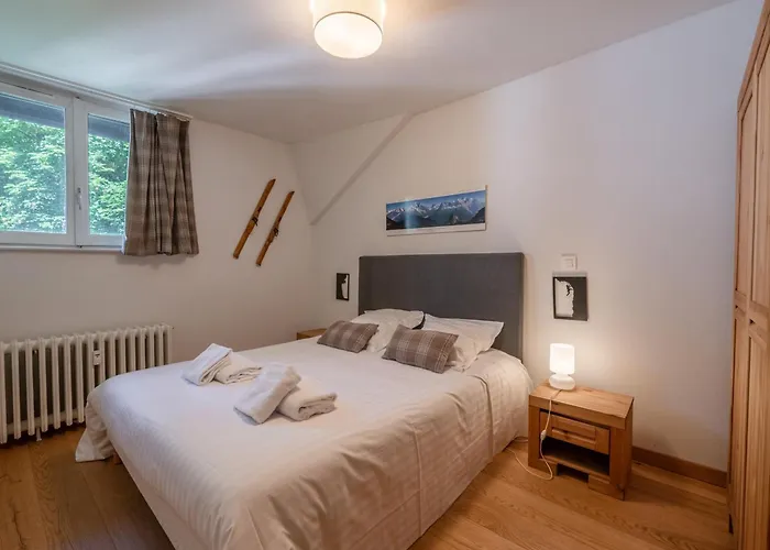 3p Chamonix, Proche Pistes, Animaux Bienvenus, Parking, Wifi - Fr-1-343-257 Apartment